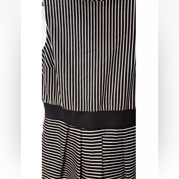 EVA MENDEZ New York & Company Black/White Stripe Pleated Dress - Picture 3 of 6